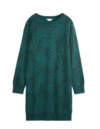 Women's Iiona Leopard Print Sweatshirt Dress in Teal Green