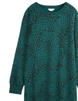 Women's Iiona Leopard Print Sweatshirt Dress in Teal Green